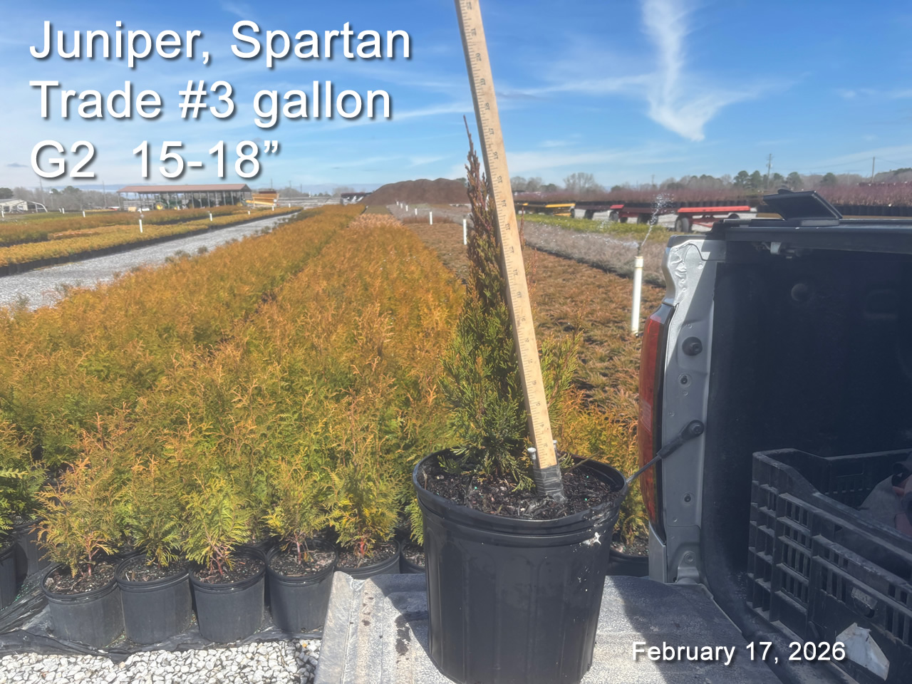 gallery/jsp3t g2 feb 17.jpg